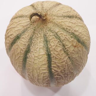 MELON CHARENTAIS PIECE