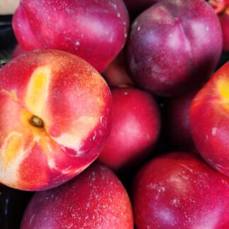 Nectarine jaune  1kg