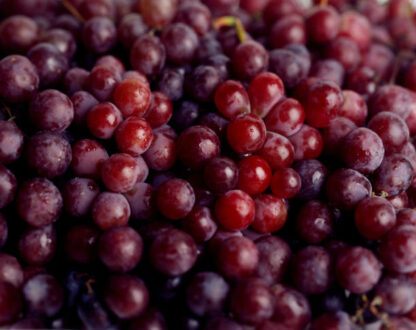Raisin rouge sans pepin - 500gr